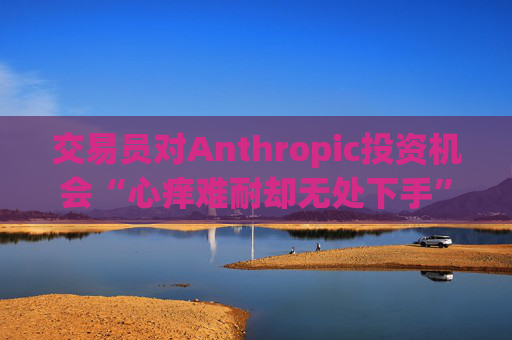 交易员对Anthropic投资机会“心痒难耐却无处下手”  第1张