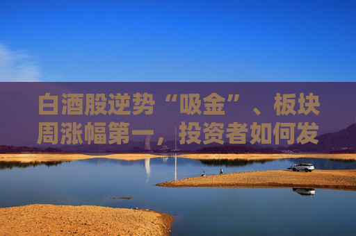 白酒股逆势“吸金”、板块周涨幅第一，投资者如何发掘舍得酒业的“质价比”