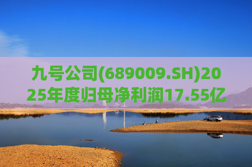 九号公司(689009.SH)2025年度归母净利润17.55亿元，同比增长61.84%