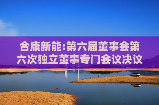 合康新能:第六届董事会第六次独立董事专门会议决议