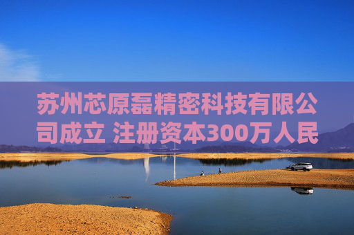 苏州芯原磊精密科技有限公司成立 注册资本300万人民币  第1张