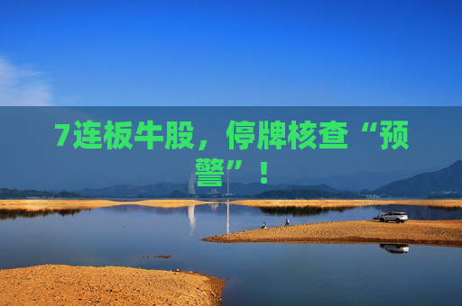 7连板牛股，停牌核查“预警”！