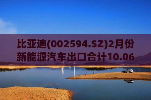 比亚迪(002594.SZ)2月份新能源汽车出口合计10.06万辆