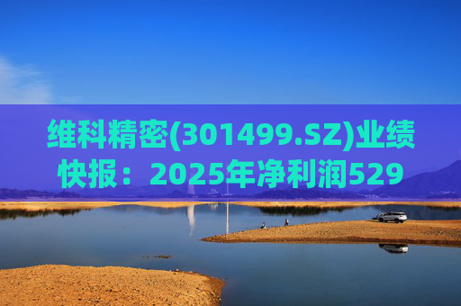 维科精密(301499.SZ)业绩快报：2025年净利润5293.82万元 同比增长16.85%