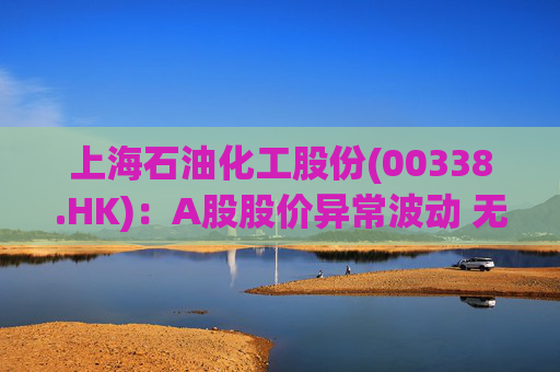 上海石油化工股份(00338.HK)：A股股价异常波动 无应披露重大信息