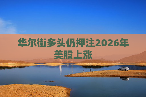 华尔街多头仍押注2026年美股上涨