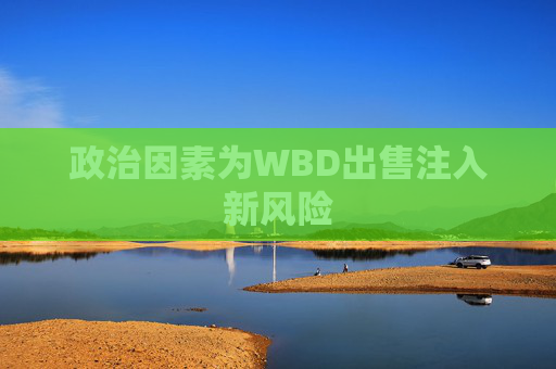 政治因素为WBD出售注入新风险