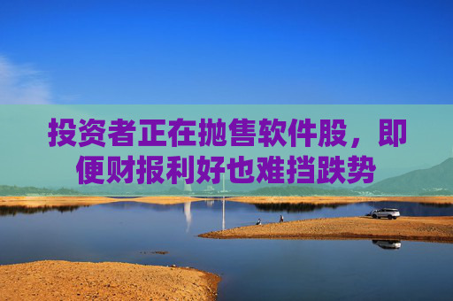 投资者正在抛售软件股，即便财报利好也难挡跌势