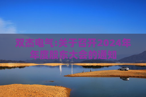 双杰电气:关于召开2024年年度股东大会的通知