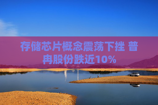 存储芯片概念震荡下挫 普冉股份跌近10%