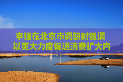 李强在北京市调研时强调 以更大力度促进消费扩大内需做强国内大循环