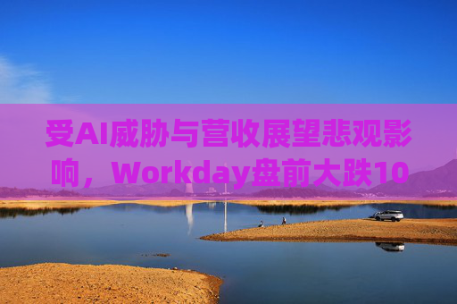受AI威胁与营收展望悲观影响，Workday盘前大跌10%