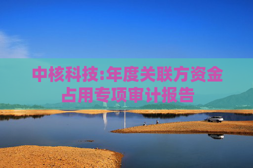 中核科技:年度关联方资金占用专项审计报告