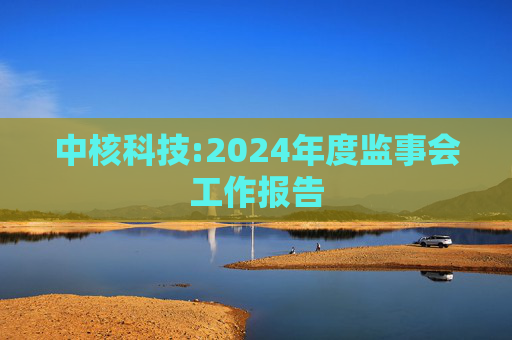 中核科技:2024年度监事会工作报告