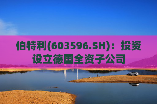 伯特利(603596.SH)：投资设立德国全资子公司