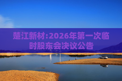 楚江新材:2026年第一次临时股东会决议公告