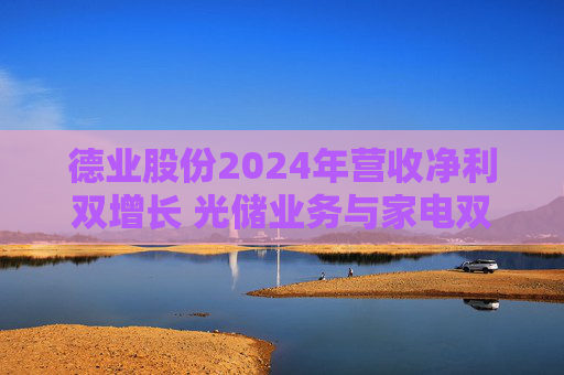 德业股份2024年营收净利双增长 光储业务与家电双轮驱动发力