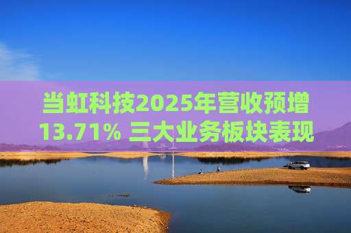 当虹科技2025年营收预增13.71% 三大业务板块表现亮眼