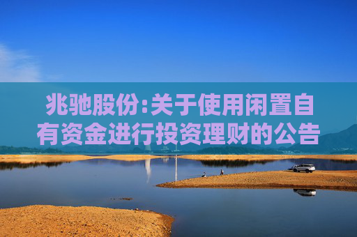 兆驰股份:关于使用闲置自有资金进行投资理财的公告  第1张