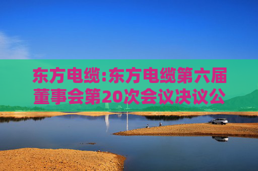 东方电缆:东方电缆第六届董事会第20次会议决议公告
