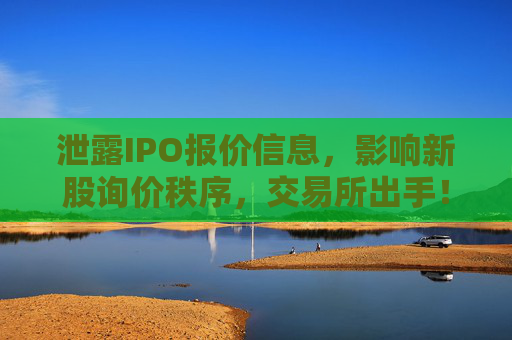 泄露IPO报价信息，影响新股询价秩序，交易所出手！