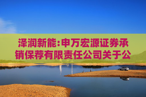 泽润新能:申万宏源证券承销保荐有限责任公司关于公司首次公开发行股票并在创业板上市的发行保荐书