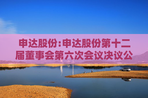 申达股份:申达股份第十二届董事会第六次会议决议公告