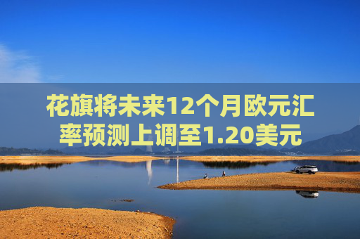 花旗将未来12个月欧元汇率预测上调至1.20美元  第1张