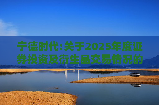 宁德时代:关于2025年度证券投资及衍生品交易情况的专项说明