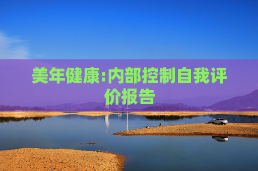 美年健康:内部控制自我评价报告
