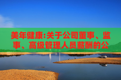 美年健康:关于公司董事、监事、高级管理人员薪酬的公告