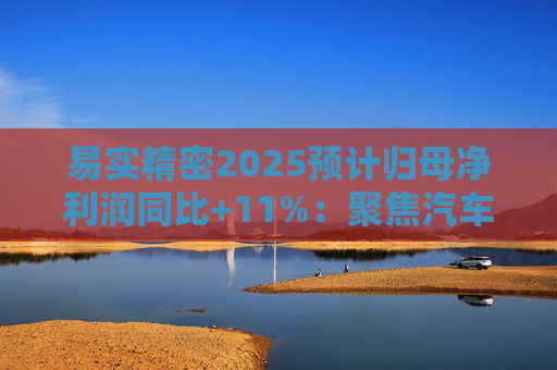 易实精密2025预计归母净利润同比+11%：聚焦汽车精密金属零部件研发销售，设立+增资子公司推进海外布局