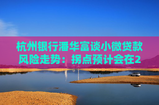 杭州银行潘华富谈小微贷款风险走势：拐点预计会在2025年四季度后开始出现