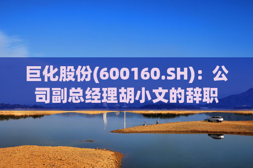 巨化股份(600160.SH)：公司副总经理胡小文的辞职