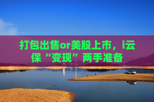 打包出售or美股上市，i云保“变现”两手准备
