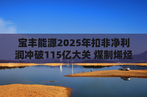 宝丰能源2025年扣非净利润冲破115亿大关 煤制烯烃龙头迎高光时刻
