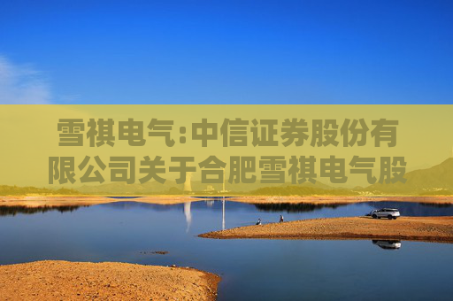 雪祺电气:中信证券股份有限公司关于合肥雪祺电气股份有限公司首次公开发行前已发行股份上市流通的核查意见