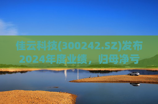 佳云科技(300242.SZ)发布2024年度业绩，归母净亏损1.06亿元，扩大10.93%  第1张