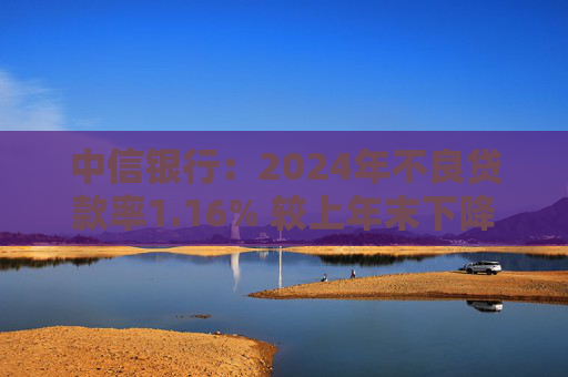 中信银行：2024年不良贷款率1.16% 较上年末下降0.02个百分点