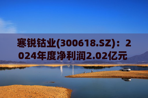 寒锐钴业(300618.SZ)：2024年度净利润2.02亿元 拟10派1.5元
