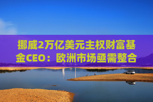 挪威2万亿美元主权财富基金CEO：欧洲市场亟需整合，"赢家通吃"