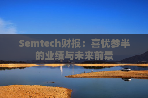 Semtech财报：喜忧参半的业绩与未来前景