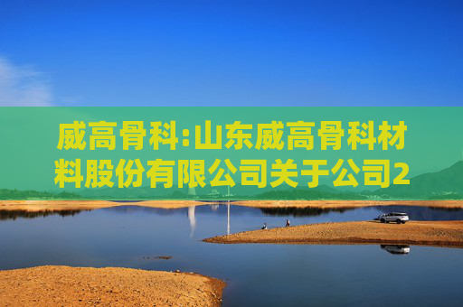 威高骨科:山东威高骨科材料股份有限公司关于公司2024年度利润分配预案的公告