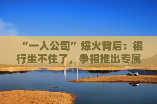 “一人公司”爆火背后：银行坐不住了，争相推出专属金融方案