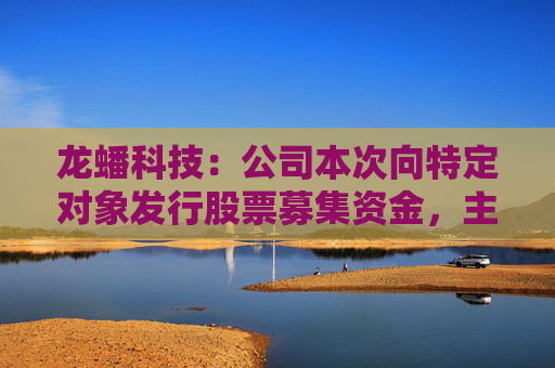 龙蟠科技：公司本次向特定对象发行股票募集资金，主要用于高性能磷酸盐型正极材料项目建设及补充流动资金
