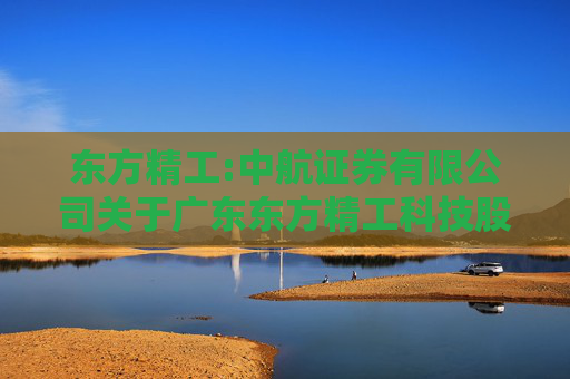 东方精工:中航证券有限公司关于广东东方精工科技股份有限公司本次重大资产重组前发生业绩异常或存在拟置出资产情形的相关事项之专项核查意见