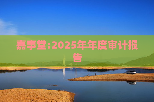 嘉事堂:2025年年度审计报告