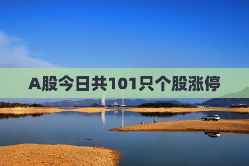 A股今日共101只个股涨停