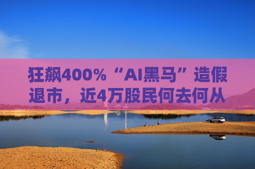狂飙400%“AI黑马”造假退市，近4万股民何去何从？