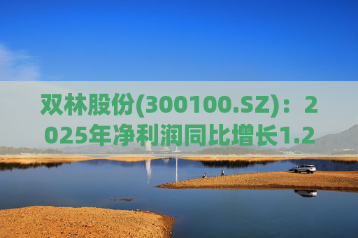 双林股份(300100.SZ)：2025年净利润同比增长1.25% 拟10股派1元